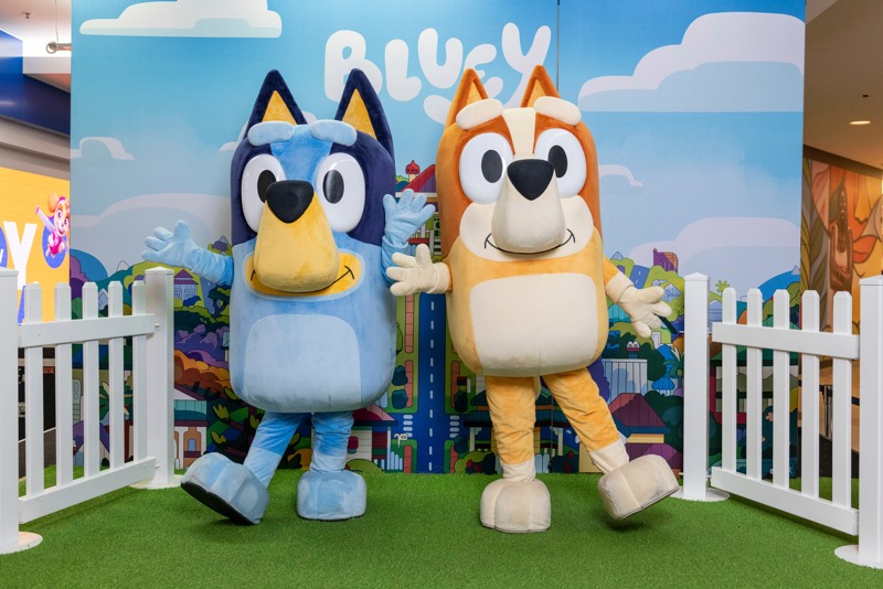Bluey & Bingo